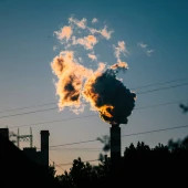 janusz-walczak-34E4aVFdDTs-unsplash (1)