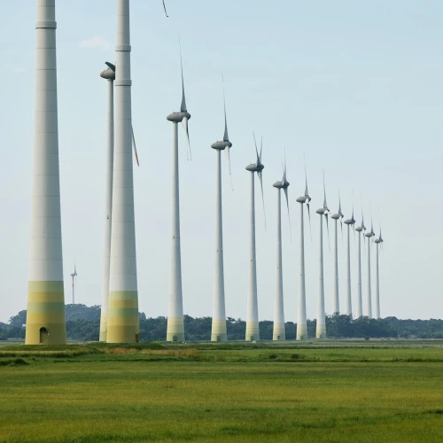 natalia-blauth-2DKyjtfNBBA-unsplash (1)