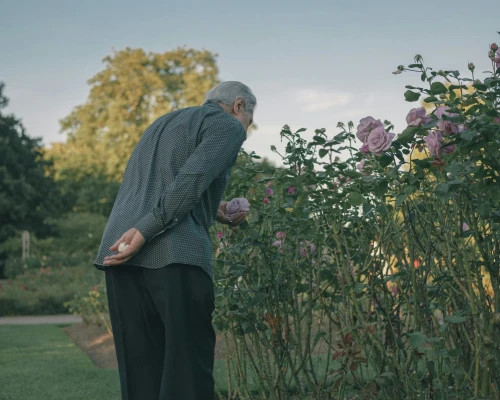 huan-yu-enfdmCds0VU-unsplash