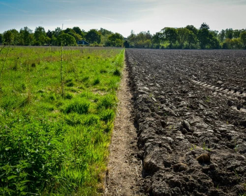 rick-van-der-haar-V0J9vNWPOs8-unsplash