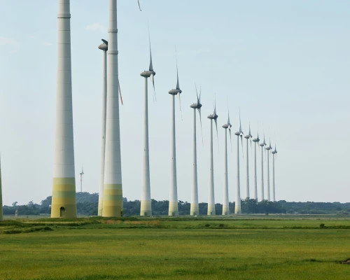 natalia-blauth-2DKyjtfNBBA-unsplash (1)