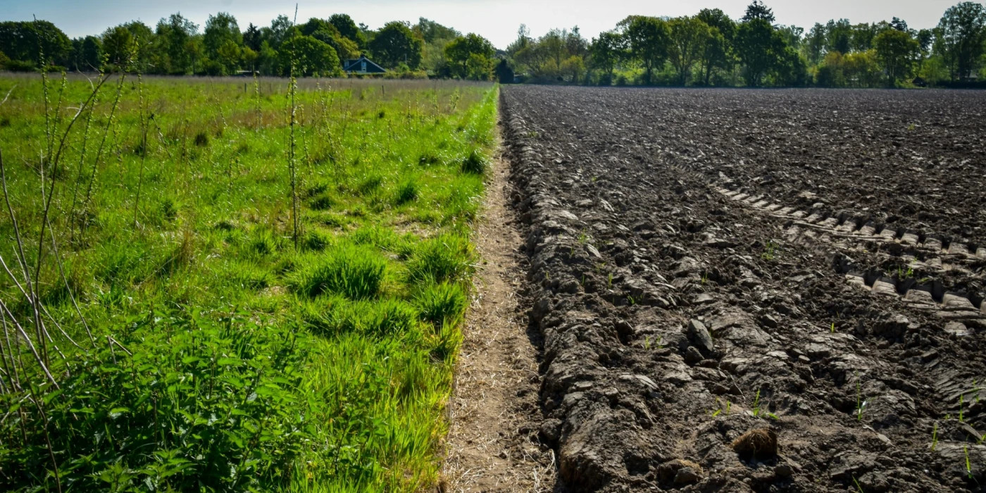 rick-van-der-haar-V0J9vNWPOs8-unsplash