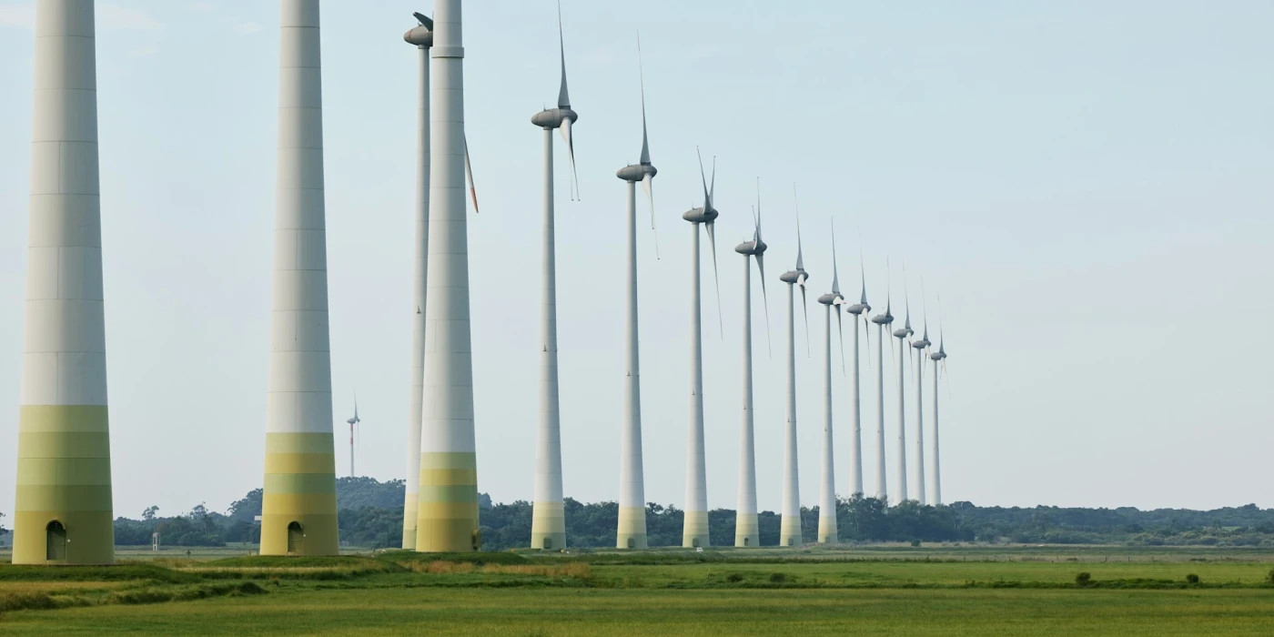 natalia-blauth-2DKyjtfNBBA-unsplash (1)